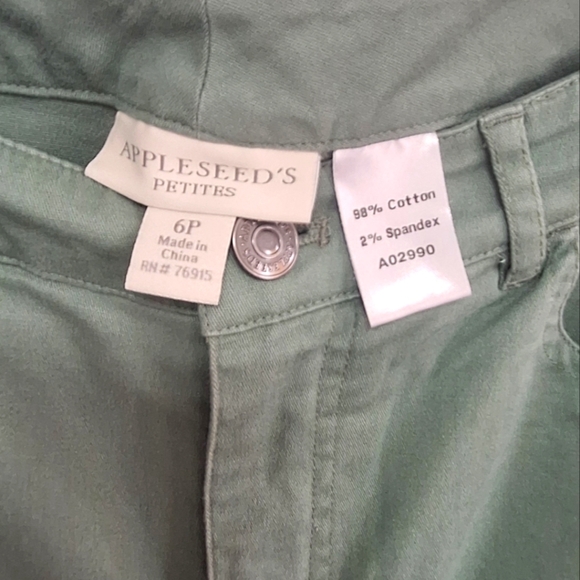 Appleseed's Petites Green Straight Leg Women's Jeans Size 6P - Picture 5 of 5
